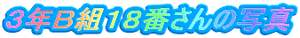 ３年Ｂ組１８番さんの写真